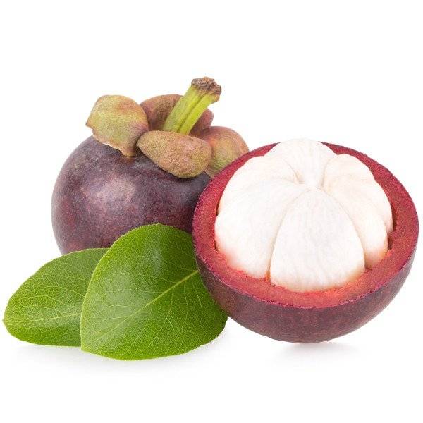 Mangosteen – GFruits – Organic Food/Fruit/Vegetables eCommerce Shopify ...